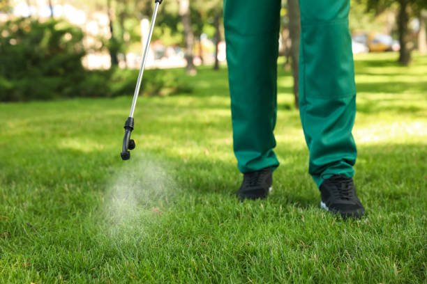 Best Best Pest Control Companies  in Sanger, CA