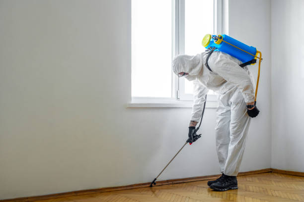 Professional Pest Control in Sanger, CA