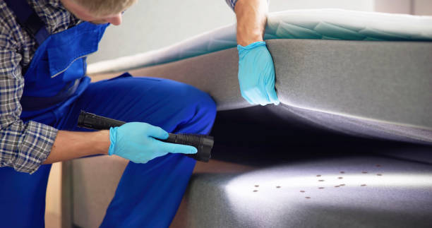 Best Wasp Removal Services  in Sanger, CA