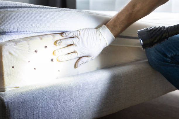 Best Bed Bug Extermination  in Sanger, CA