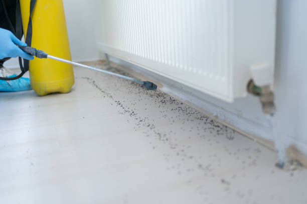 Best Cockroach Control Services  in Sanger, CA